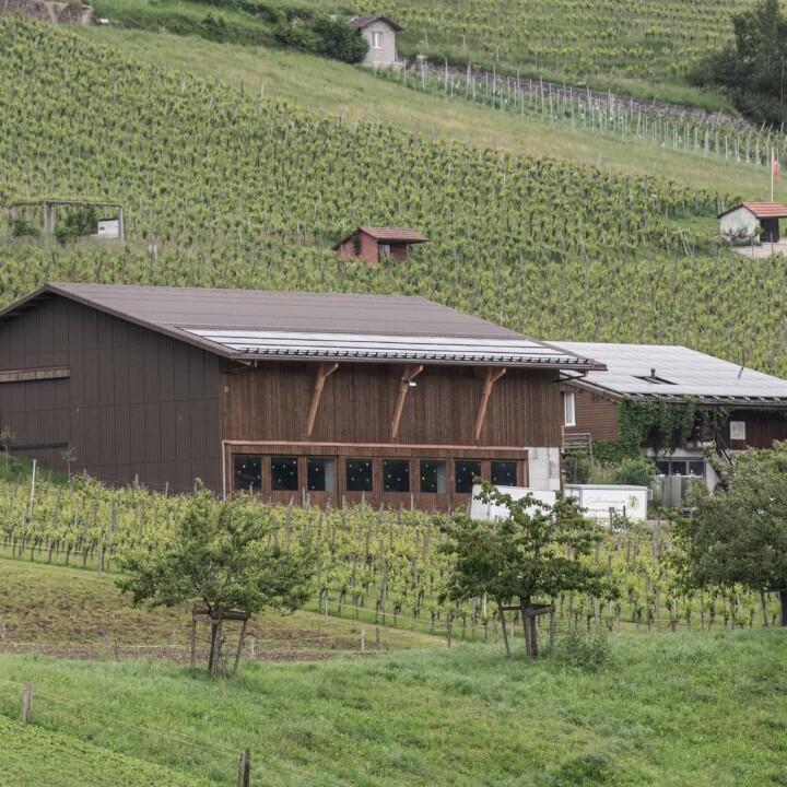 Weinökonomiegebäude