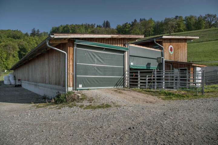 Mutterkuhstall