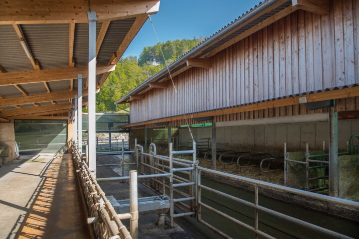 Stall
