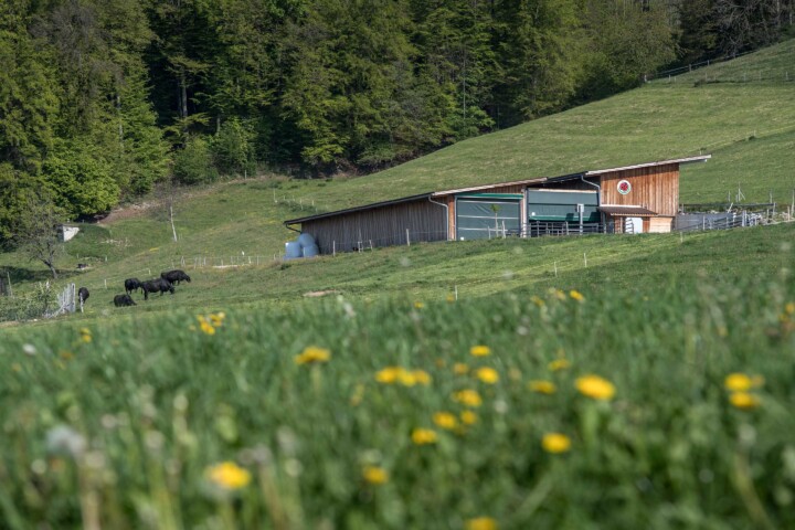 Stall von weitem