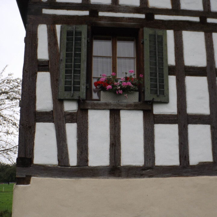 Fenster