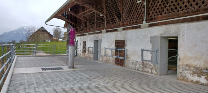 Laufhof nicht überdacht