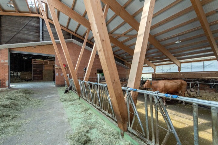 Sicht an Bestand